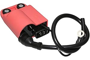 P2R (MOTORISÉ) Bobine ALLUMAGE Scoot Adaptable Piaggio 50 Zip 2T 1992>1997, Typhoon 1994>1997, NRG 1994>1998-GILERA 50 Stalker 1997>2003, Runner 1997>2003 (Avec CDI) (GROSSES FICHES) (R.O. 252537) -P2R-