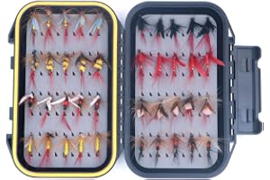 ANCLLO 40 st flugfiske flugor kit beten streamer sortiment med vattentät flugbox