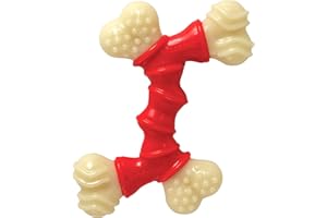 Interpet 982648 Nylabone - Dura Chew Double Bend kości, petite