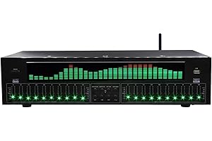Vituord 31-Band Digital Equalizer, Digital Audio Stereo Graphic EQ, LED Music Spectrum Analyzer, with Noise Reduction, 12 Rhythm Patterns, for Recording Studio