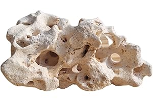 NATUNAE Hole Stone (Prezzo per Pietra) - Roccia Decorativa per Acquario Malawi e Tanganika - Pietra Naturale per Decorazione (M)