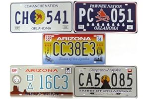 OPO 10 - Set di 5 targhe in Metallo per Auto USA - Replica di Vere targhe delle tribù degli Indiani d'America Americani