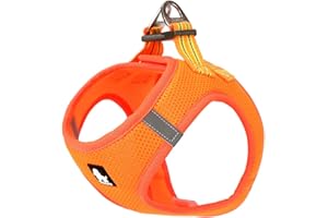 TRUE LOVE Harnais pour Chien Soft Air Mesh Gilet réfléchissant réglable pour Animaux de Compagnie pour Petites et Moyennes Races (L, Orange)