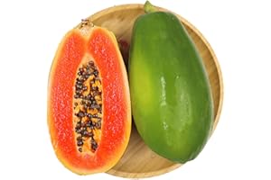 ZAISHENG Graines de fruits de papaye 10 pièces chinois à fleurs coing papaye biologique frais facile à cultiver des graines de plantes pour la plantation de jardin ferme cour