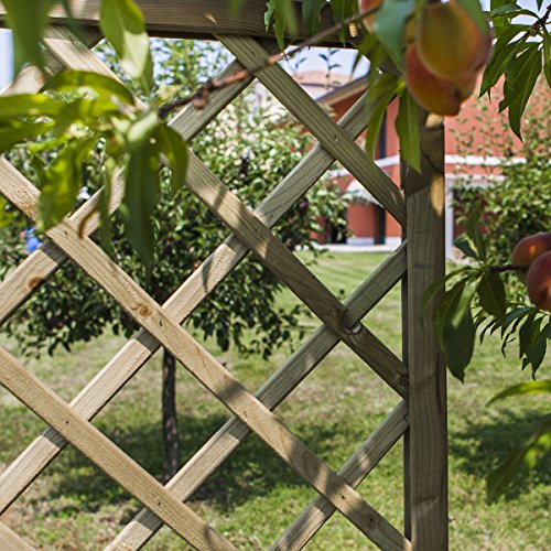 Rankgitter aus Holz Autoklav 1200 x 1800 Trikot 120 mm - 8