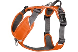 DOG COPENHAGEN Doc Copenhagen, Comfort Walk Pro Harness, Orange Sun, XL, (V1)