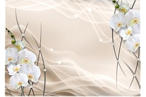 Runa Art Papel tapiz fotográfico Flores de la orquídea 3d 352 x 250 cm Lana Fondo De Pantalla XXL Moderna Decoración De Pared Sala Cuarto Oficina Salón beige 9322011a