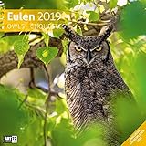eulen kalender 2018 Format 30 cm x 30 cm offen 30 cm x 60 cm