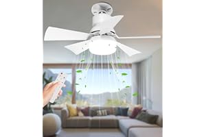 Alljia Ceiling Fans with Lights and Remote, 40W E27 Small Ceiling Fan Light 2H/4H Timer, Dimmable, Quiet 3 Speed Fan with Light for Bedroom Living Room, 0.55kg