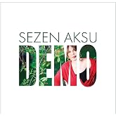 GEREKSİZ ŞEYLER Sezen Aksu Demo Plak