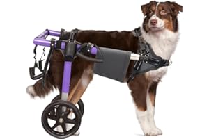 PVIRBRAVOO Hunderollstuhl für Hinterbeine - Hunderollstuhl