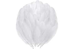 HDGSAFD 500 Plumes Blanches, Matériaux De Bricolage, Plumes Décoratives, Peuvent Être Utilisées pour Les Couvre-Chefs, Les Vêtements, Les Masques, Les Bouquets, Etc.