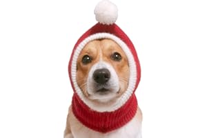 Petyoung Cappello invernale lavorato a maglia per cani, con pompon, berretto caldo invernale per animali domestici, accessori carini, scaldacollo, orecchie, sciarpa, decorazione per feste per cani di