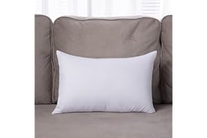 GREATOYAR Relleno de Cojín 50 x 70 cm, Cojines de Sofá o Cama, Relleno con Fibra Hueca de Alta Recuperación, Mullido Indeformable, Antialérgico, Suave e Indeformable, Hipoalergénicas, 1 Unidad