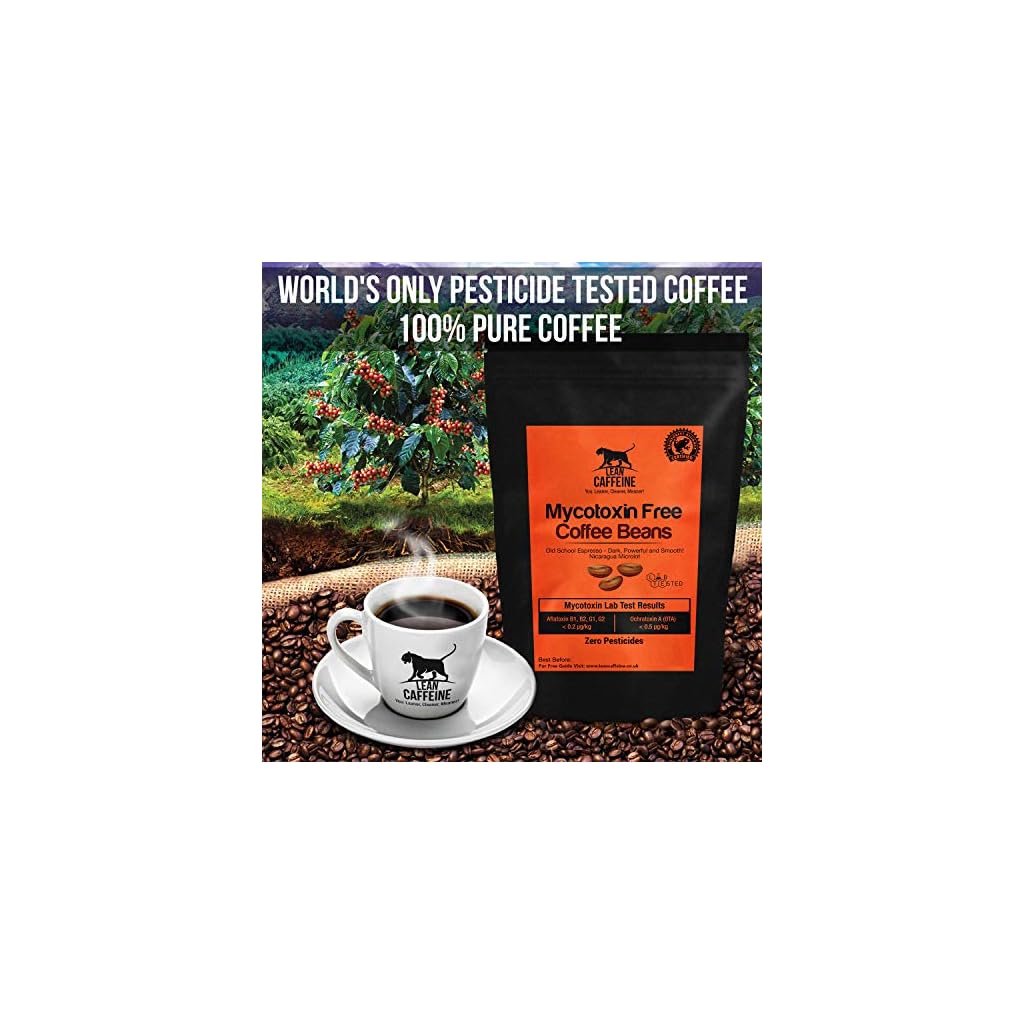Lean Caffeine Nicaragua Coffee Beans Super Clean Mycotoxin Free