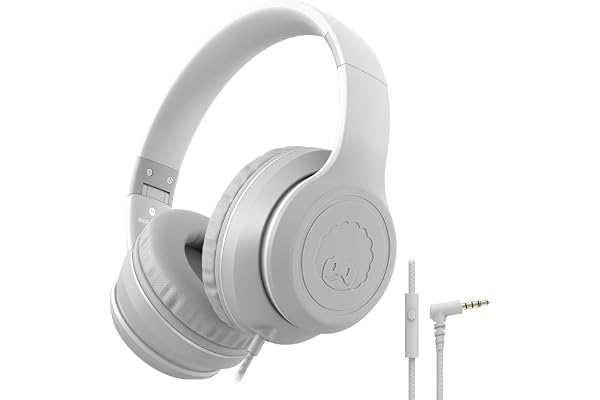 RockPapa L22 Casque Audio Filaire pour Enfants avec Microphone pour Filles et garçons, Bandeau réglable, Pliable pour téléphones/PC/TV/DVD/MP3 (Gris)
