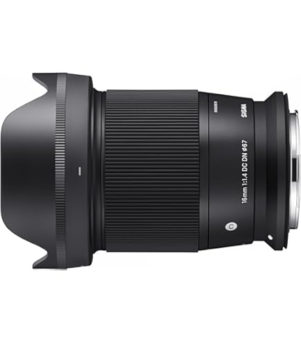 Canon RF24mm F1.8 Macro is STM Lens : Amazon.in: Electronics