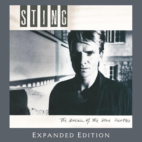 nothing like the sun : sting: Amazon.it: CD e Vinili}