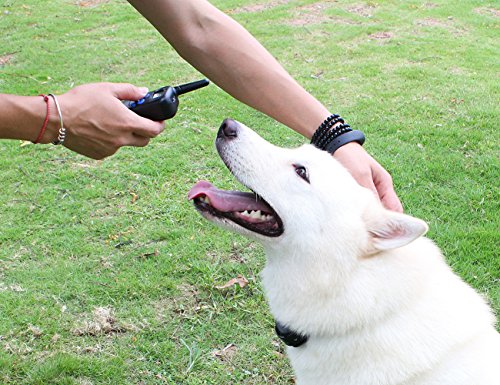 COFIT-Anti-Bark-Remote-Dog-Training-Collar-with-Sound-and-Vibration-Function