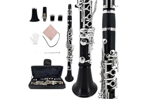 Yinfente Professional Klarinette, Ebonit-Holz, für Anfänger, 2 Barrels, mit Tasche, Rohrblatt-Zubehör (Ekey)