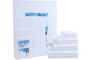 TBC THE BEST CRAFTS TBC Blank Canvas for Painting 8PCS A3 Artist Canvases Frame Drawing Board Panels 100% Cotton Acid Free Professional Art Canvases for Acrylic Oil Gouache Watercolour 27.9 x 35.6cm (11" X 14")