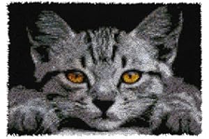 ROCKY&CHAO Knüpfhaken-Teppich-Set DIY-Knüpfhaken Teppichherstellungs für Erwachsene Kinder Kreuzstich-Set Teppichherstellung Heimdekoration 50 x 38 cm （Schwarze Katze）