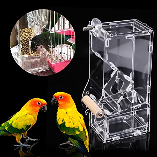 Comederos Autom  ticos para p  jaros Alimentador de p  jaros Acr  lico transparente Accesorios de jaula de loro