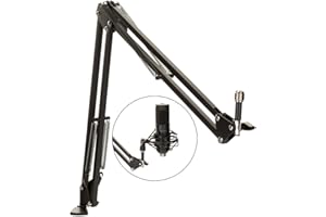 DOCKIN Braccio del microfono compatibile con il microfono Microfono RØDE/Microfono Razer ecc, braccio del microfono regolabile 3/8"- 5/8" adattatore (84 cm), supporto del microfono