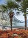 Produktbild Artland Poster Kunstdruck oder Leinwand-Bild Wandbild fertig aufgespannt auf Keilrahmen Melanie Viola Gardasee Prächtige Uferpromenade in Limone sul Landschaften Europa Italien Fotografie Bunt