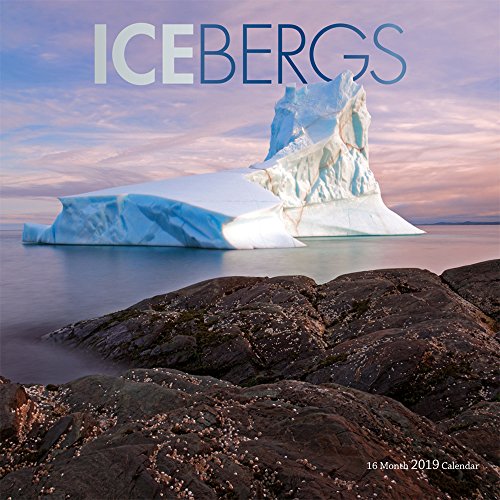 Preisvergleich Produktbild Icebergs - Eisberge 2019 - 16-Monatskalender (Wall-Kalender)