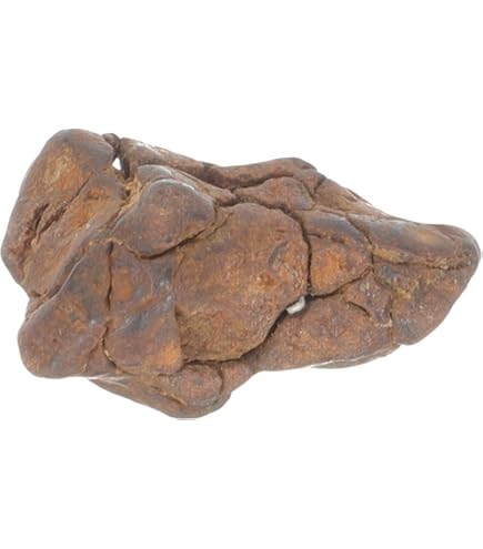 12PK Raw Porphyritic Granite, Igneous Rock Specimen - Approx. 1