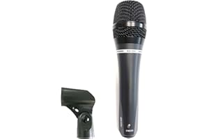 PROEL EIKON DM226 - Microfono palmare dinamico + custodia per uso karaoke, voce, canto, ecc, senza interruttore (DM226)