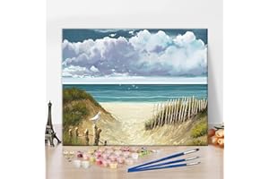 TISHIRON Painting by Numbers Kits, Beach Painting by Numbers for Adults Beginners, DIY Blue Natural Landscape with Sea Birds Paint by Numbers, 16x20 Inch Paint by Numbers for Home Decor Without Frame