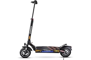 smartGyro Speedway Pro - Patinete Eléctrico de 48V, 1000W Pot. Máxima, Batería 15Ah, Autonomía 60 Km, Ruedas de 10 Pulgadas Dual Grip, Suspensiones, Triple Frenada, Certificado DGT