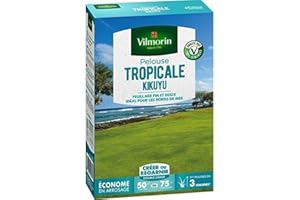 Vilmorin 4344512 - Césped Tropical Kikuyu, verde, 500 g