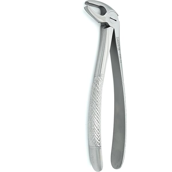 PINZA ESTRAZIONE HS N.33A - Dental Trey - Foto 8