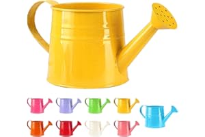 YOUNING Arrosoir pour petites plantes d'intérieur 1 l - Petit arrosoir en métal - Pour jardin, balcon - Arrosoir vintage - Outil de jardin (1 pièce/jaune)