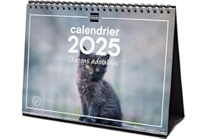Finocam – Calendario Imágenes de Escritorio para escribir 2025 1 mes por página Enero 2025 – Diciembre 2025 (12 meses) Gatitos franceses