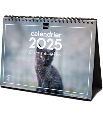 Calendario Agenda Cuccioli Di Gatto 2025 - 22x44 Cm | Con Fasi Lunari E Spazio Per Appuntamenti - Foto 6