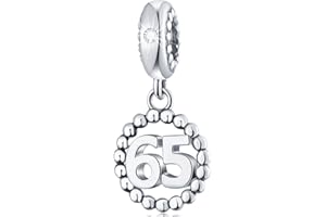 CHAWIN Number Bracelet Charms, 925 Sterling Silver Pendants/Beads Fit Pandora Charm Bracelets, Necklace, European Snake Chain,10/20/30/40/50/60 Dangling Charm for Birthday, Anniversary