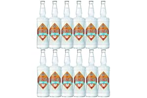 Salitos ICE Bier 12 x 0,65 Liter MW Flasche