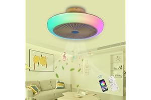 YUNZI RGB Ventilatore Da Soffitto Con Luce E Telecomando, Ventilatore Soffitto Con Luce Wifi Plafoniera Ventilatore Soffitto E Cassa Bluetooth Lampadario Con Ventilatore Da Soffitto 45CM,A