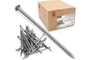 Chiodi in acciaio grezzo 2,5x60mm 1kg, lunghi e resistenti per legno e muro, testa piana per fissaggio e costruzione, chiodi da carpentiere e ferramenta, per bricolage e lavori fai da te, Lun Fix