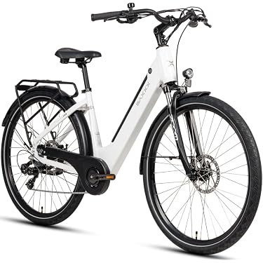 KAISDA 20 Zoll E-Klapprad Fatbike 36V 20.8AH 55Nm  Damen Mountainbike  Schwarz