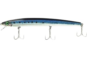 Live Sardine