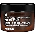 MIZON All In One Snail Repair Cream (120Ml)