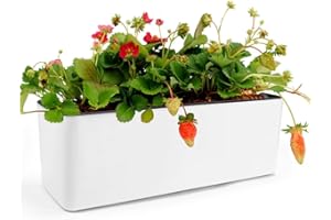 CAREDGO Jardinera de Autorriego con Indicador de Nivel de Agua, Macetero Rectangular de Autorriego de 40 x 13 x 13 cm Maceta de Autorriego Blanca de Plástico para Balcón Interior Exterior