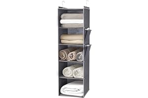 DPWEION Hanging Storage Shelves with 5 Shelves Foldable Hanging Wardrobe Closet Organiser Unit with 2 Side Pockets for Clothes Accessories for Bedroom (Grey)