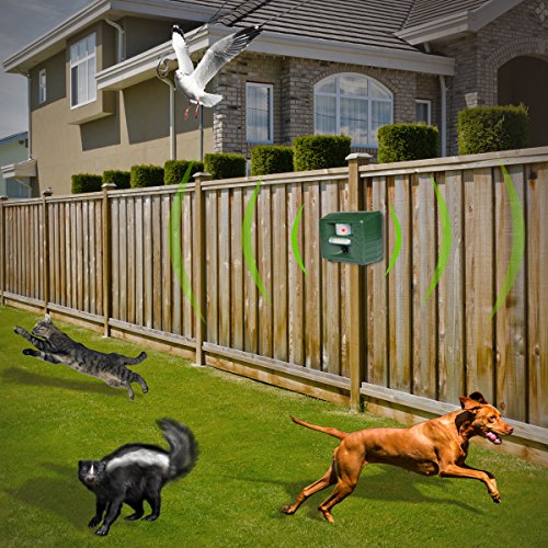 PREMIUM Aspectek Yard Sentinel STROBE RC, OUTDOOR SCHÄDLINGSBEKÄMPFER, Marderschreck, Tiervertreiber, Schädlingsbekämpfung, ULTRASCHALL Abwehr GEGEN: Marder, Hunde, Katzen, Mäuse, Ratten u. mehr - 2