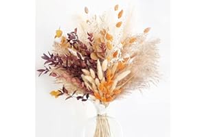 KAWAAN 64 Pezzi Fiori Secchi Decorativi, Pampa Naturale, Erba Della Pampas Decorative, Set di Erba di Pampa Essiccata Naturale, Erba di Pampa Essiccata Naturale, Bouquet di Fiori Secchi per Matrimoni